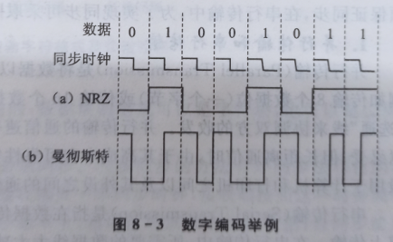 数字编码举例