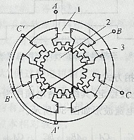 三相反应式步进电机的结构示意图